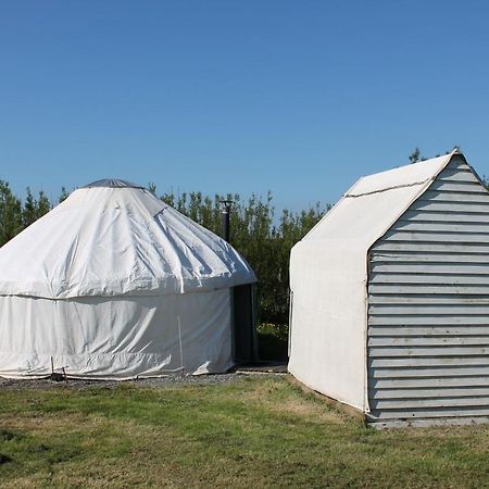 Mill Haven Place Glamping Yurt 3 Haverfordwest Extérieur photo