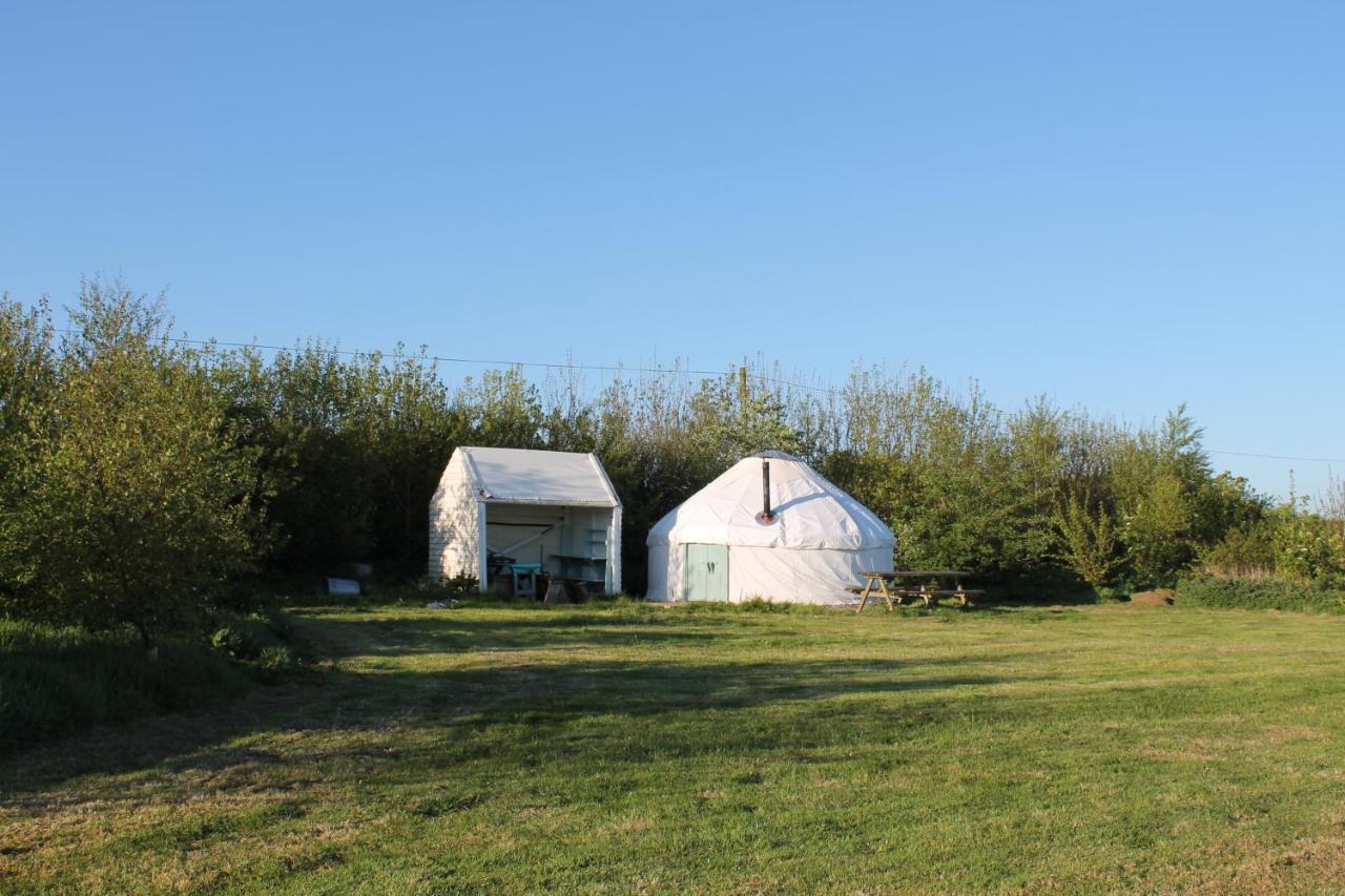 Mill Haven Place Glamping Yurt 3 Haverfordwest Extérieur photo