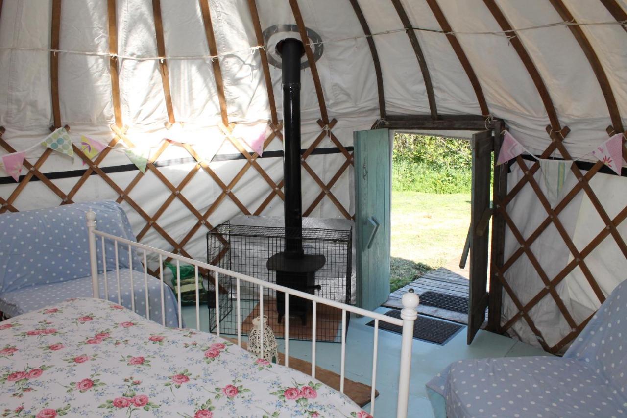 Mill Haven Place Glamping Yurt 3 Haverfordwest Extérieur photo