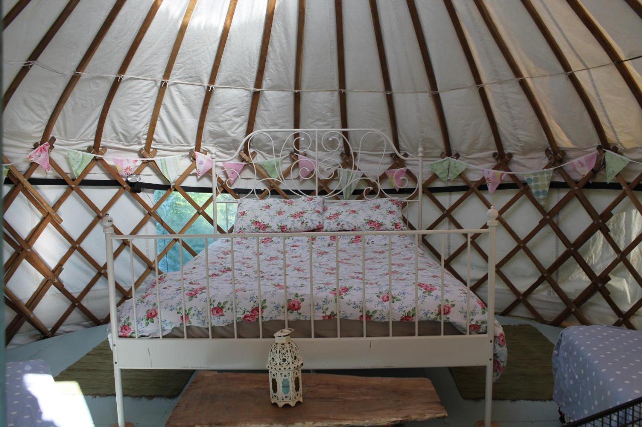 Mill Haven Place Glamping Yurt 3 Haverfordwest Extérieur photo